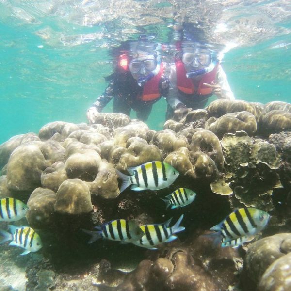 Honeymoon Jogja 3H2M