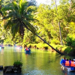one day tour pacitan