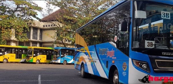 Backpacker Murah Jogja