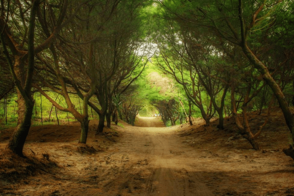 Pantai di Jogja