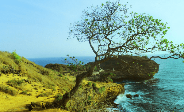 Pantai di Jogja