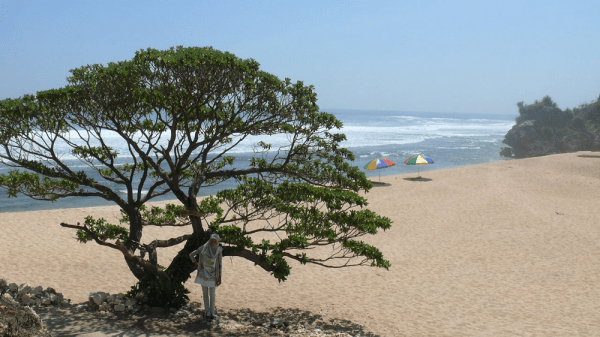 Pantai di Jogja